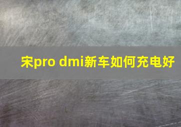 宋pro dmi新车如何充电好